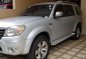 Ford Everest 2009 company executive car-6