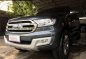 2015 Ford Everest Titanium AT 4x4 Gray For Sale -2