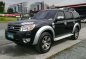 2013 Ford Everest ICE EDITION AT Black For Sale -0