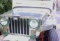 Mitsubishi Jeep Karatig Manual Silver Truck For Sale -0