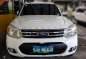 2013 Ford Everest 4x2 matic for sale -3