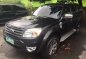 2013 Ford Everest 4x2 Automatic for sale-1