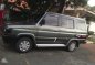 Toyota Tamaraw fx gl 1995 FOR SALE-0