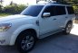 Well-kept Ford Everest 2010 for sale-1