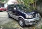 Mitsubishi Adventure 2002 for sale-0