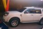 2014 Ford Everest for sale-0