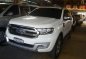 2016 Ford Everest for sale-4