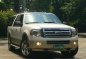 Ford Expedition 2010 for sale-0