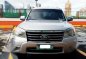 Ford Everest 4x2 Automatic 2010 for sale-1
