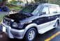 2001 Mitsubishi Adventure GLS Supersports MT Gas for sale-8