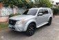 2010 Ford Everest 4x2 AT Diesel for sale-0