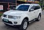 2010 Mitsubishi Montero Sport for sale-0