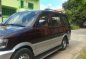 2001 Mitsubishi Adventure Sports for sale-1