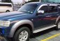 Ford Everest Well Maintained Blue SUV For Sale -2