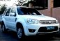 2010 Ford Escape XLT for sale -1