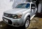 2014 Ford Everest 4x4 Limited for sale-1