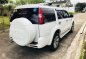 Ford Everest ice edition limited 2010 for sale-2