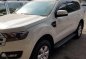 2017 Ford Everest for sale -1