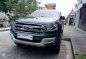 2016 Ford Everest for sale -0