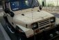 Wrangler Jeep for sale-3