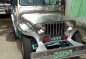 Almost brand new Jeep Jeepster Gasoline 1995 for sale-1