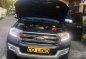 2017 Ford Everest for sale-10