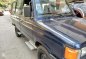 Toyota Tamaraw 1995 for sale-5