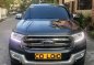 2017 Ford Everest for sale-2