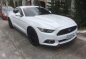 Ford Mustang Ecoboost 2017 for sale-1
