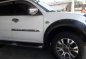 Mitsubishi Montero 2010 for sale-7