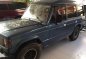 Mitsubishi Pajero 1980 for sale-0