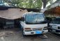 Isuzu elf Mini dump truck and isuzu elf deipside-6