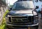 Well-kept Ford E-150 2009 for sale-0