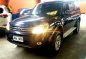 2015 Ford Everest for sale-5