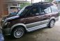 Mitsubishi Adventure GLS Sport 2009 for sale -7