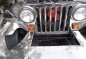 Owner type jeep-10