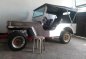 Owner type jeep victory body-1