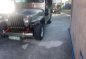 Owner type jeep victory body-5