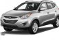 Looking for Hyundai Tucson 2010 above-0