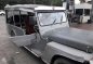 Owner Type Jeep (diesel engine) for sale -0