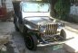 Well-kept Purestainless Owner Type Jeep for sale-0