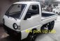 Wholesale New Quality Multicabs for Sale-3