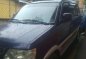 2002 Mitsubishi Adventure Manual GAS For Sale -1