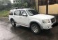 Ford Everest 2007 AT DSL for sale-0