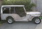 Toyota Owner Type Jeep Stainless MT For Sale -4