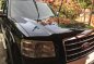 Ford Everest 2009 4x2 AT Black SUV For Sale -7