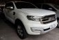 2017 Ford Everest Titanium AT FOR SALE-3