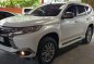 2017 Mitsubishi Monteto for sale-1