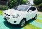 Hyundai Tucson 2010 for sale-5