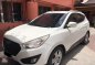 Hyundai Tucson 2010 for sale-0